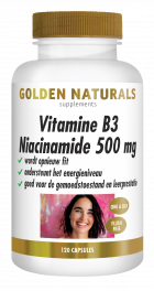 Vitamin B3 Niacinamide 500 mg 120 vegan capsules